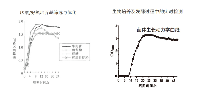 過程安全，結(jié)果精準(zhǔn)