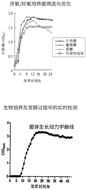 過(guò)程安全，結(jié)果精準(zhǔn)